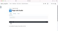 tested_macos_safari_audio.png
