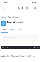 tested_iphone_safari_audio.jpeg