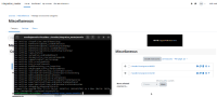 (III) C-1 Passed -- (Master)MDL-76724.png