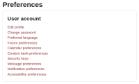 accessibility_preferences_m41.png