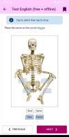 MOBILE-4339_questionBones_ok.png