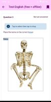 MOBILE-4339_questionBones_NOTok.png