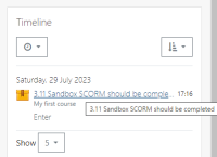 31SCORM.png