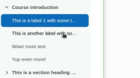 course-index-click-bugs.gif