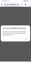 MOBILE-4201_LoginInBrowser.png