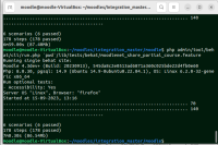 MDL-78267-Behat test.png