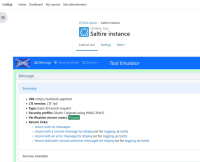 saltire_instance_launch_success.jpg