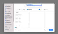export-assignment.png