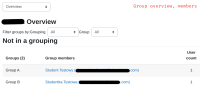 group overview.png