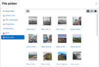 2_flickr_public_images.png