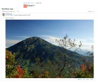 1_flickr_post_to_forum.png