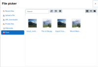 1_flickr_images.png