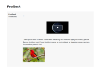 MDLQA-18408_Test3_02.png
