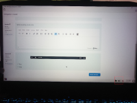 MDLQA-18338- allowing audio control.JPG