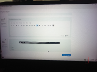 MDLQA-18338-disallowing audio control.JPG