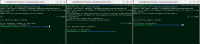 MDL-80591-phpunit run testing.png