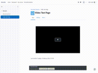 video-bug-demonstration.gif