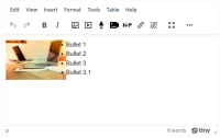 mdl80792_tinymce.png