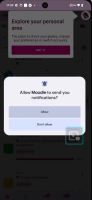 MOBILE-4313_permission1_step2_browserstack.png