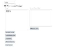 Screenshot 2024-03-25 at 14-40-51 Groups Sandbox 4.1.png