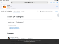 MDLQA-18744 - Step 3 - Safari Install App.png