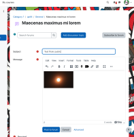MDLQA-18572 - Test 2 - Step 5 forum post.png
