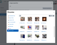 MDLQA-18572 - Test 2 - Step 3 flickr.png