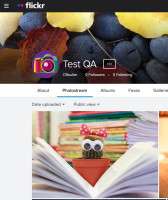 MDLQA-18502 - Step 5 - Check Flickr.png