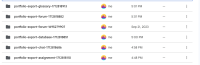 export-all-googledrive.png