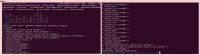 MDLQA-18861_1-1.png