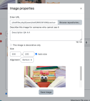 MDLQA-18834 - Images can be edited by double clicking it - Step 7.png