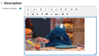 MDLQA-18834 - Test drag and drop of one image - Step 8.png