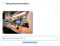 MDLQA-18614 - Edge - Step 11 - Resource.png