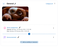 QA18917_3_2_add_activity_button.png