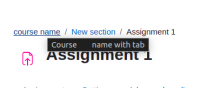 course name containing a tabulation.png