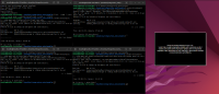 (2) 5 Passed -- (Main)MDL-82148.png