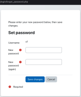 forgot password.png