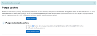 Screenshot 2024-07-05 at 13-34-50 Purge caches Development Administration Moodle Master.png