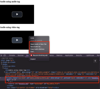 video-js-video-tags -for-audio.png