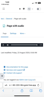 iphone safari with audio.jpeg