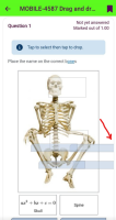 MOBILE-4587_smallScreen_fullGap.png