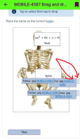MOBILE-4587_smallScreen_fulledGap.png