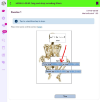 MOBILE-4587_iPad_overlap_Femur.png