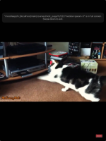 MOBILE-4475_iOS17_filename.png