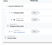 grade item successfully moved into custom category.png
