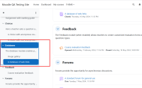 2024-09-23 , 23_09_47 - Course_ Activity examples _ Moodle QA Testing Site — Mozilla Firefox.png
