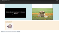 (1) 9 Passed -- (Main)MDLQA-19150.png