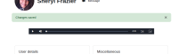 MDLQA-19246-chrome-audio.png