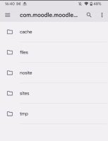 MOBILE-4337_step5_Pixel3a_commoodle.png