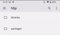MOBILE-4337_step5_Pixel3a_h5p.png